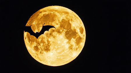 A captivating scene featuring a full harvest moon glowing brightly in the night sky, complemented by the striking silhouette of a bat flying gracefully across its luminous surface.の素材