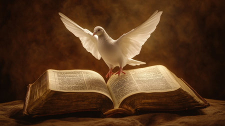 A beautiful white dove gracefully spreads its wings above an open holy book, representing peace and spirituality in a rich, warm atmosphere filled with light.の素材
