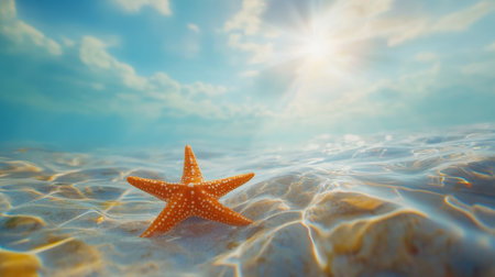 Orange sea star stands out in a clear, blue underwater setting, symbolizing peaceful ocean lifeの素材