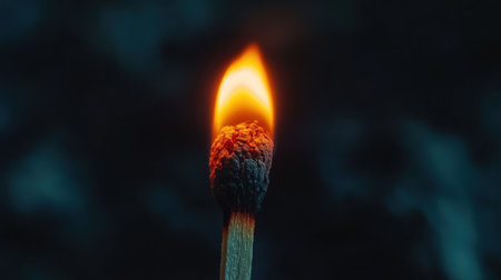 Burning match on a black background, its vibrant orange glow representing warmth, ignition, and potential energy.の素材