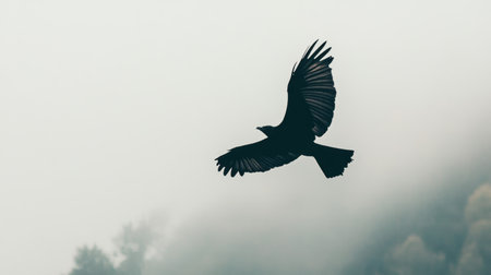 A graceful bird soars through a misty sky, its silhouette beautifully contrasting with the foggy background, symbolizing freedom and the tranquility of the natural world.の素材