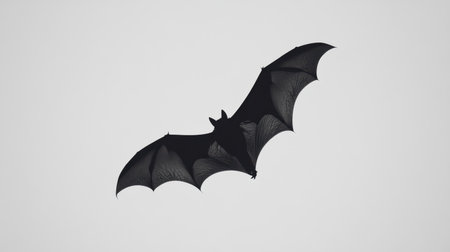 A bat gracefully soars through a light gray sky, showcasing its elegant wing structure and nocturnal nature, creating a stunning display of wildlife in motion.の素材