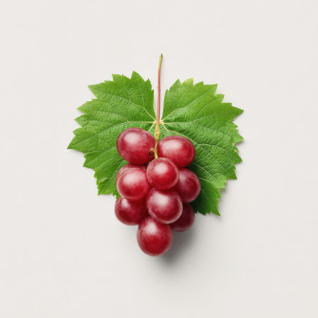 A cluster of fresh red grapes sits elegantly on a vibrant green leaf, showcasing organic beauty. This image is perfect for health, culinary, and nature-themed projects.の素材