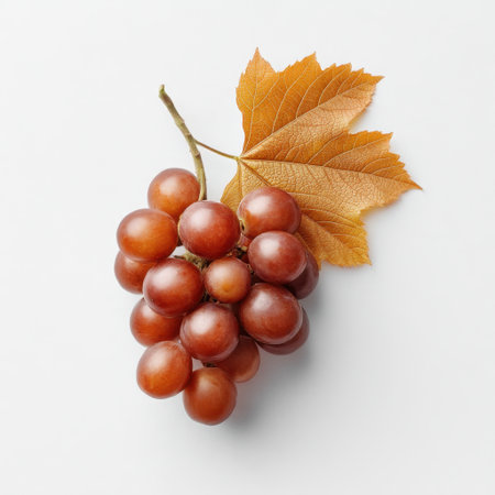 A stunning arrangement of fresh red grapes alongside a textured autumn leaf, set against a clean white background, ideal for highlighting nutrition and seasonal themes.の素材