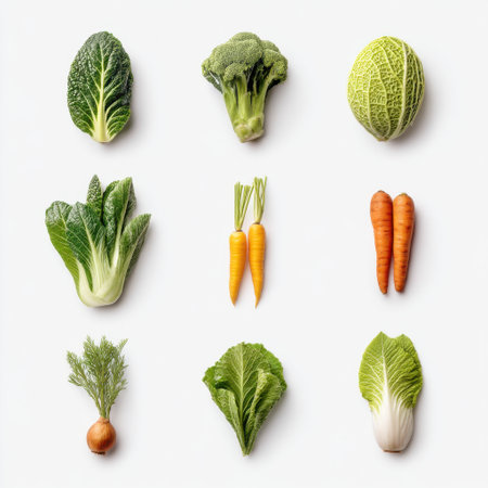 A vibrant arrangement of fresh organic vegetables on a white background. This collection features broccoli, assorted lettuces, cabbage, carrots, and dill, perfect for healthy meals.の素材