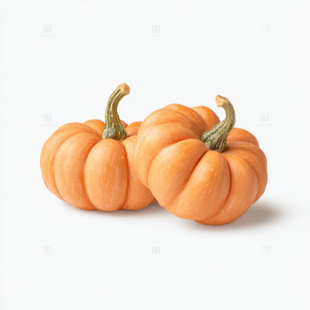 A charming pair of orange pumpkins set against a clean white background, ideal for autumn themed designs, seasonal recipes, and festive decorations.の素材