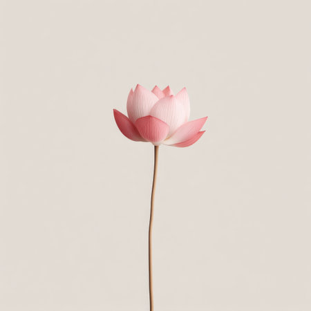 A stunning pink lotus flower stands gracefully on a slender stem, set against a soft neutral backdrop. This image captures the essence of tranquility and beauty.の素材