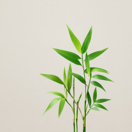 Delicate bamboo stalks showcase vibrant green leaves against a subtle beige background, creating a calming and serene atmosphere ideal for interior decor and wellness spaces.の素材