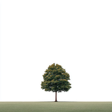 This image features a single, vibrant tree against a stark white background, symbolizing tranquility and simplicity in nature, perfect for minimalistic design and art projects.の素材