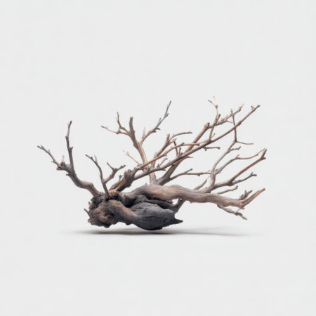 A stunning piece of driftwood showcasing intricate details and organic forms. This natural sculpture enhances art pieces, decorations, and minimalist interiors with its unique charm.の素材