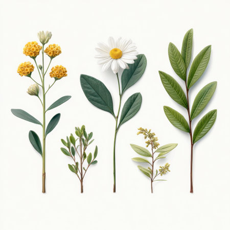 A beautiful arrangement showcasing diverse flower and leaf elements on a soft background, perfect for nature-themed projects, designs, and artistic inspiration.の素材