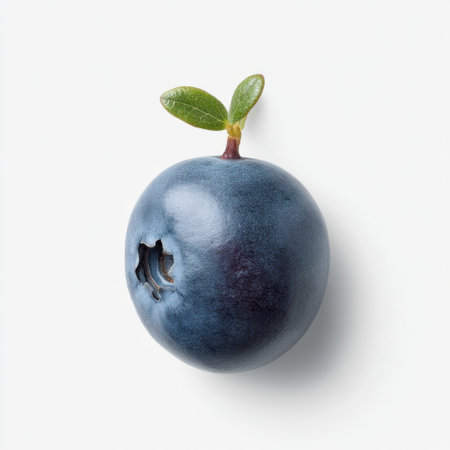 This image showcases a single fresh blue berry with a bite taken out, accented by a vibrant green leaf, ideal for promoting healthy eating and culinary creativity.の素材