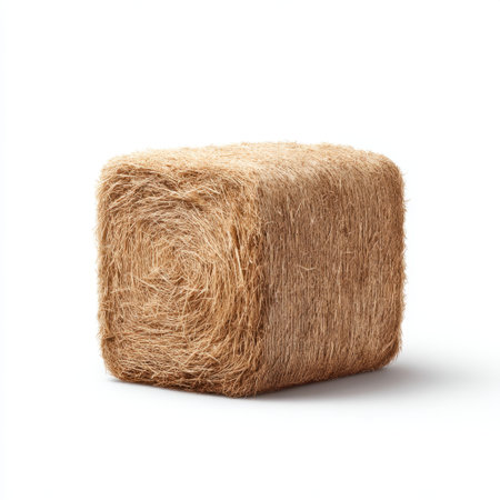 A small straw bale isolated on a clean white background, showcasing its natural texture and color, suitable for use in agricultural themes or rustic decorations.の素材