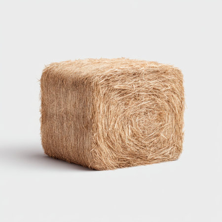A simple square hay bale isolated on a light background, perfect for showcasing agricultural themes and rural ambiance. Ideal for farm-related concepts and creativity.の素材