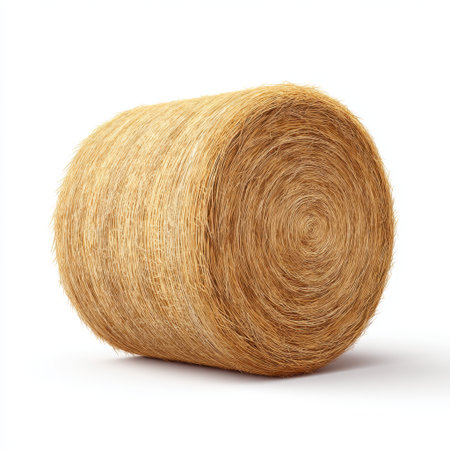 A beautifully formed hay bale with a smooth texture, set against a clean white background, symbolizing agriculture and rural lifestyle, perfect for diverse creative projects.の素材