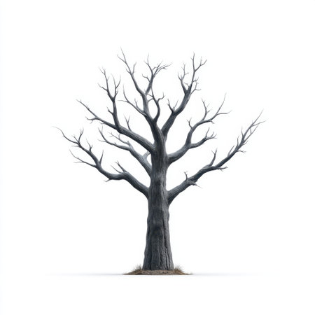 A striking image of a lone, barren tree with twisted branches set against a pure white background, representing resilience and the raw beauty found in nature's simplicity.の素材
