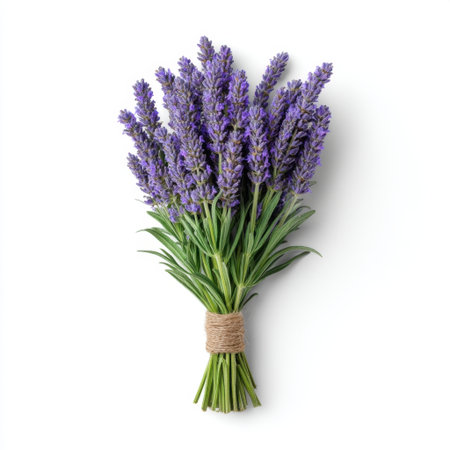 A vibrant bouquet of freshly cut lavender elegantly tied with natural twine, perfect for adding aromatic beauty to home decor and enhancing relaxation.の素材