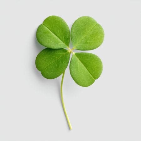 A vibrant single four leaf clover leaf isolated on a light background, symbolizing luck and good fortune. Ideal for nature, wellness, and botanical themes.の素材