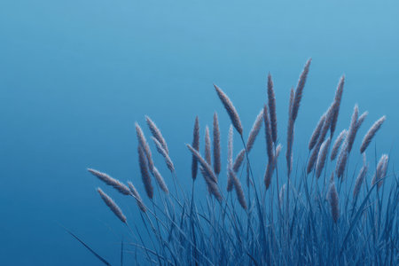 A tranquil scene featuring delicate grass blades softly focused against a serene blue background, ideal for themes of nature, peace, and minimalistic beauty in photography.の素材