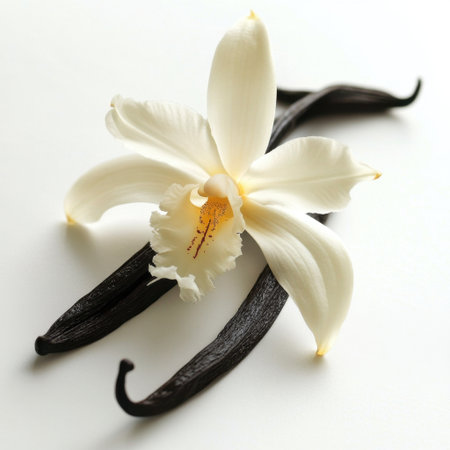 A stunning arrangement featuring an elegant white orchid accompanied by vanilla beans against a soft background, capturing the essence of nature's beauty and luxury.の素材