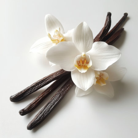 Discover the beauty of white orchid flowers paired with natural vanilla sticks, creating an elegant composition perfect for culinary delights or decorative arrangements.の素材