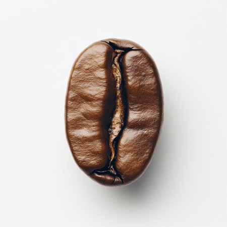 A detailed view of a single dark roasted coffee bean against a clean white background, highlighting its rich texture and color, perfect for culinary and beverage projects.の素材
