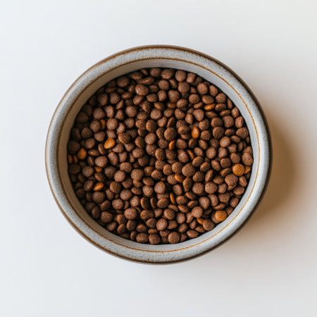 This image showcases a close-up view of dry pet food in a ceramic bowl, highlighting the wholesome quality and appealing texture, suitable for pet care content.の素材