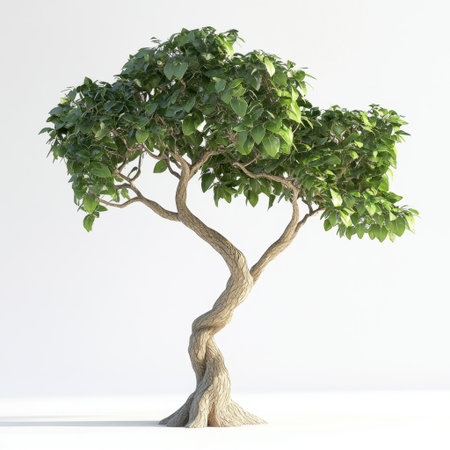A stunning green tree with a uniquely twisted trunk, set against a bright studio backdrop. Ideal for projects related to nature, gardens, and sustainability themes.の素材