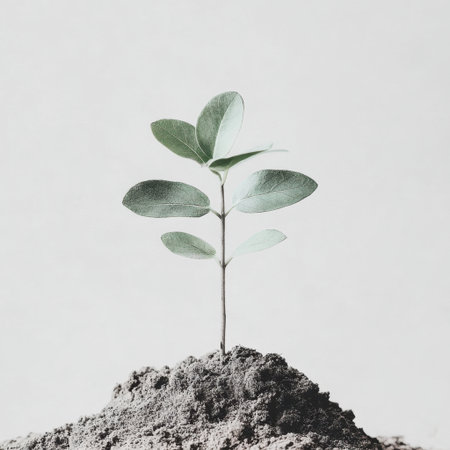 A vibrant green sprout emerges from dark soil, embodying themes of growth, renewal, and environmental sustainability in an artistic, minimalistic presentation.の素材