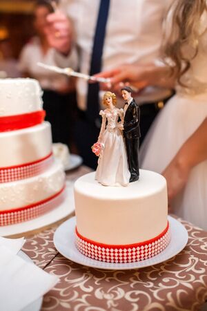 The bride and groom cut a beautiful holiday cake, close-up of the figure of the bride and groom, party, completion of the wedding day, the bride holds a knife, wedding dressの写真素材