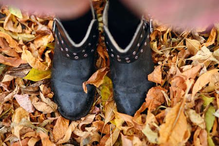 A girl in dirty black boots stands on the autumn leaves. Autumn background in the form of yellow dry...