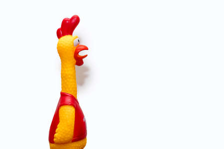 Rubber toy in the form of a rooster on a white background. The funny toy rooster has a surprised and dumbfounded look with its beak open. The toy makes loud noises. Free space for text and adsの写真素材