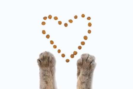 Dry cat food and cat paws on a white background. Dry food is laid out in the form of a heart on a white isolated background, and gray fluffy paws of a cat are reaching for it. cat healthy food conceptの写真素材