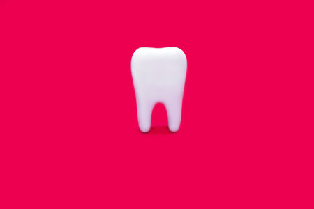 A molar on a pink background in the center of the image. Medical concept of dental health and proper care of molars. Inspection of the root of the tooth. Perfect molar on a pink backgroundの写真素材