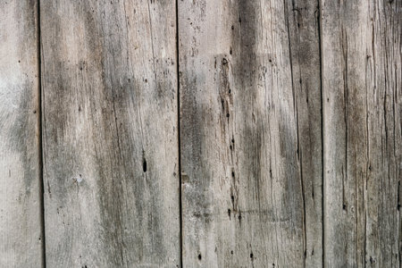 Background in the form of old wooden boards. Dilapidated rotten boards in the form of a wall or fence. Free space for text. Background of dry wood in the form of boards nailed to each otherの写真素材
