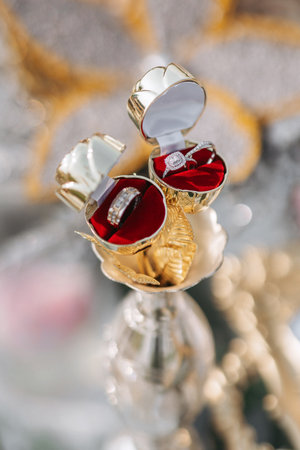 Wedding rings of the bride and groom with precious stones in beautiful boxes. Rings for the wedding ceremony of the bride and groom. Gold rings with diamonds on the wedding dayの写真素材