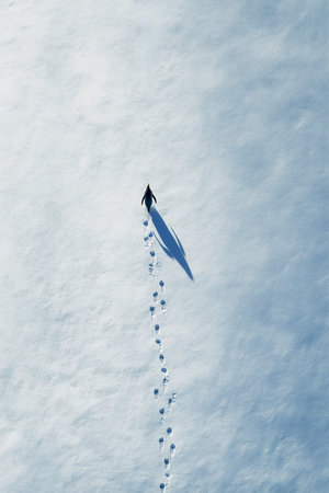 Penguin moves across a snowy terrain, creating a series of footprints in the pristine snow, with a clear blue sky above and bright sunlight illuminating the sceneの素材