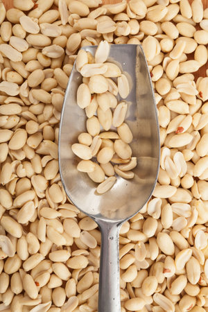 Peeled peanuts with transfer scoop on peeled peanuts  backgroundの写真素材