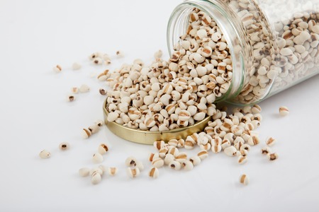 Jobs tears  in a jar on white  table with lid off on white backgroundの写真素材