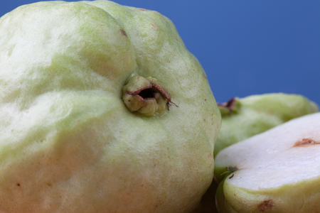Close up of ripe green Guavaの写真素材