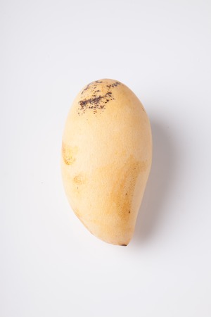 Ripe yellow mango  on white backgroundの写真素材