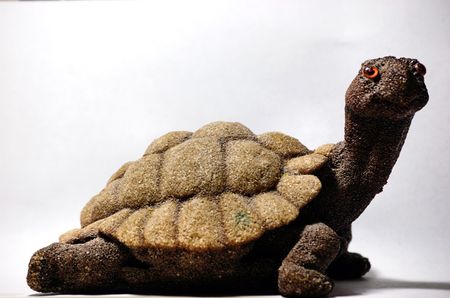 sand turtleの写真素材