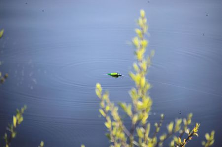 gone fishin'の写真素材