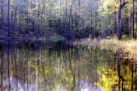hidden fishermanの写真素材