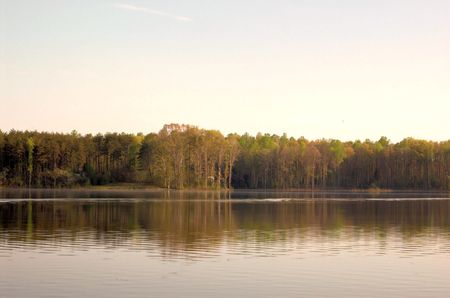 reservoir treelineの写真素材