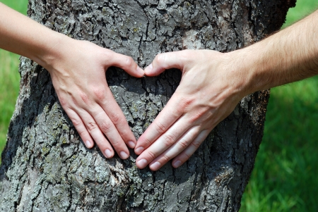 Couple is putting their hands on tree in a shape of heart の写真素材