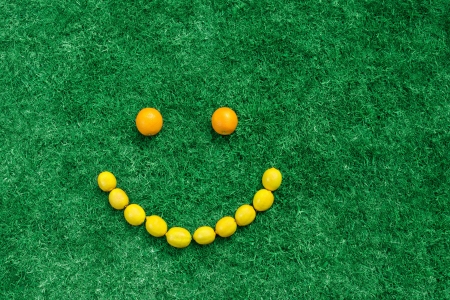 Oranges and lemons in shape of smileの写真素材