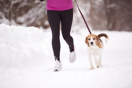 Athlete woman is running during winter training outside in cold snow weather.の写真素材