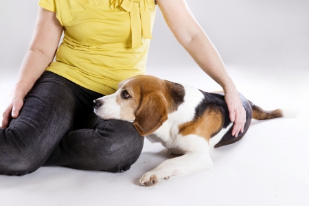 Attractive senior woman is talking to her dogの写真素材