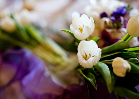 Flowersの写真素材